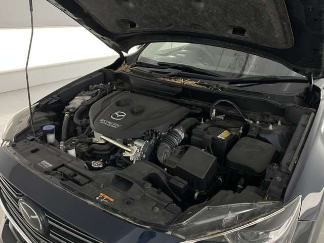 15562227