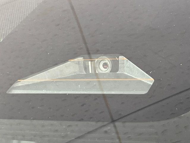 15562325