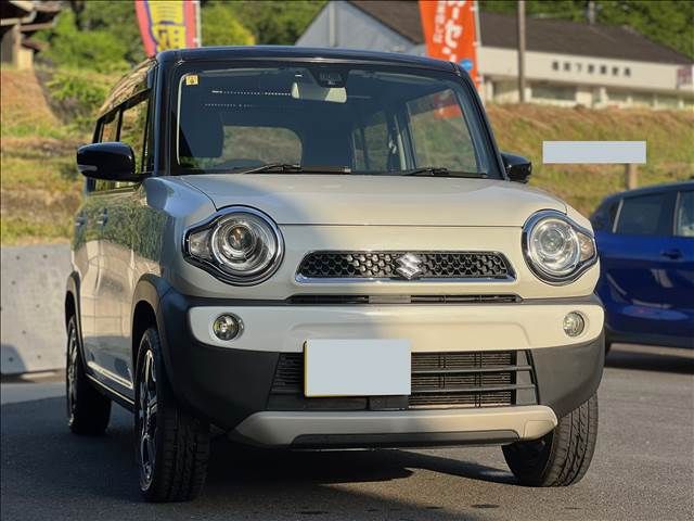 15565003