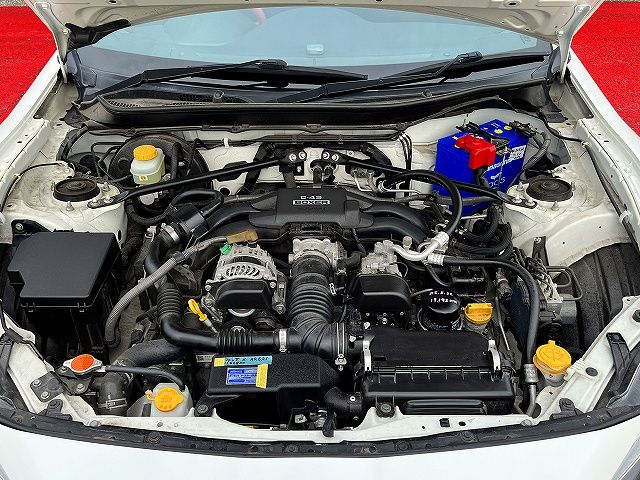 15565088