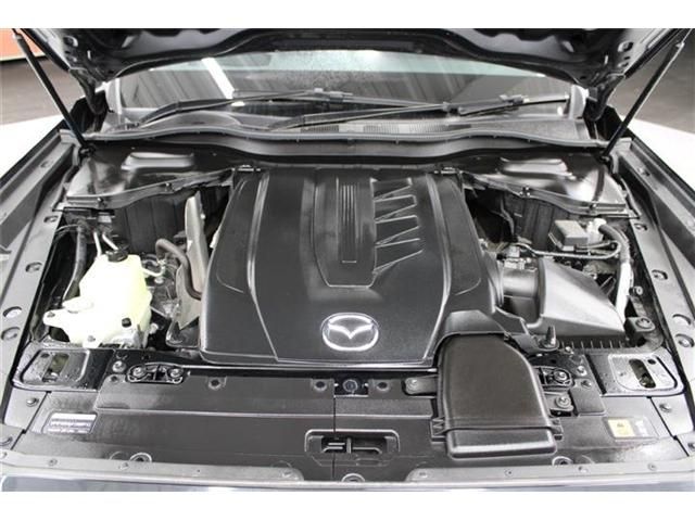 15565857
