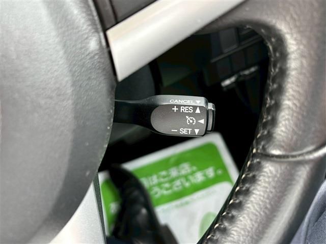 15566038