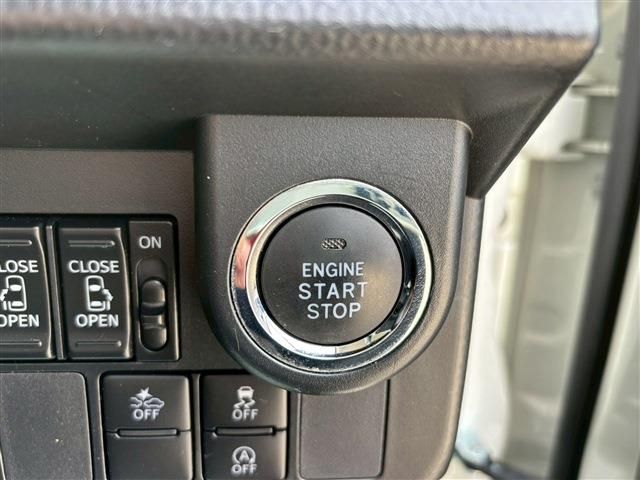 15566038