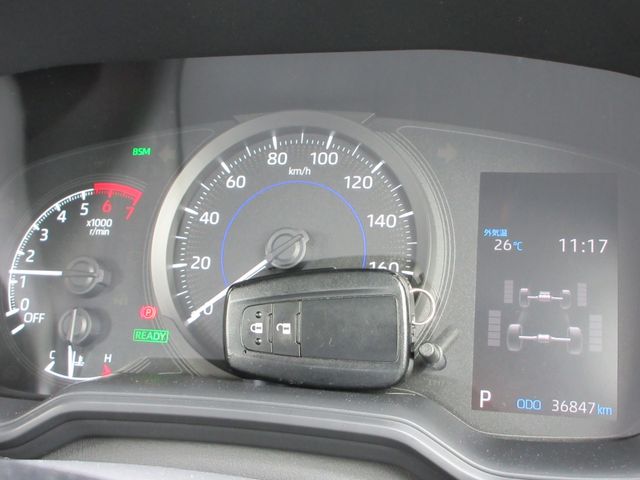 15620028