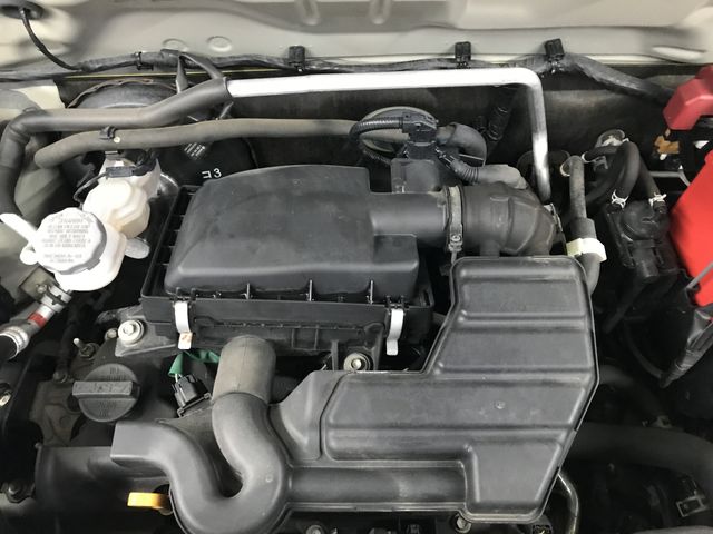 15650219