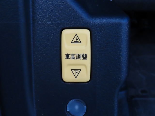 15660519