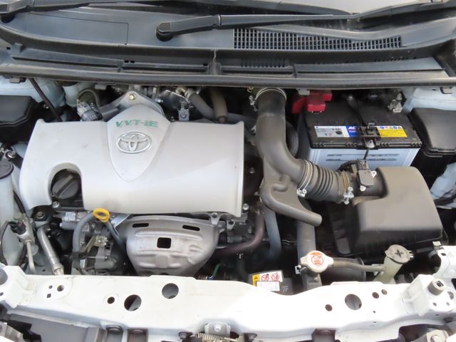 15660519