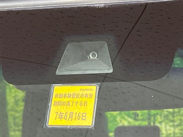 15660879