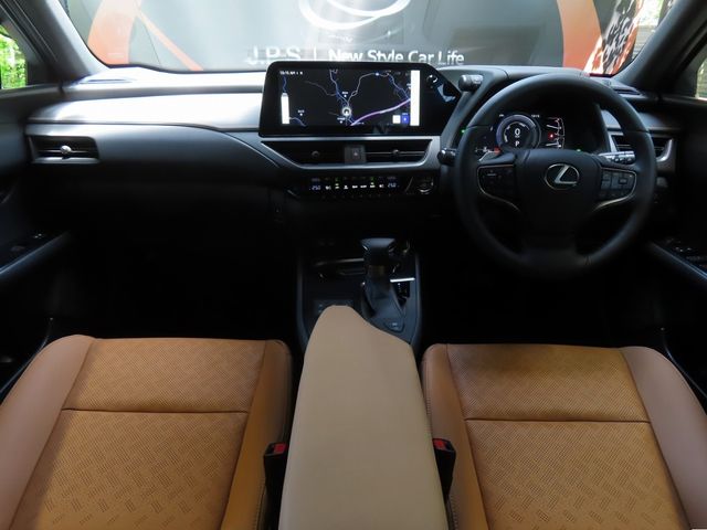 15661354