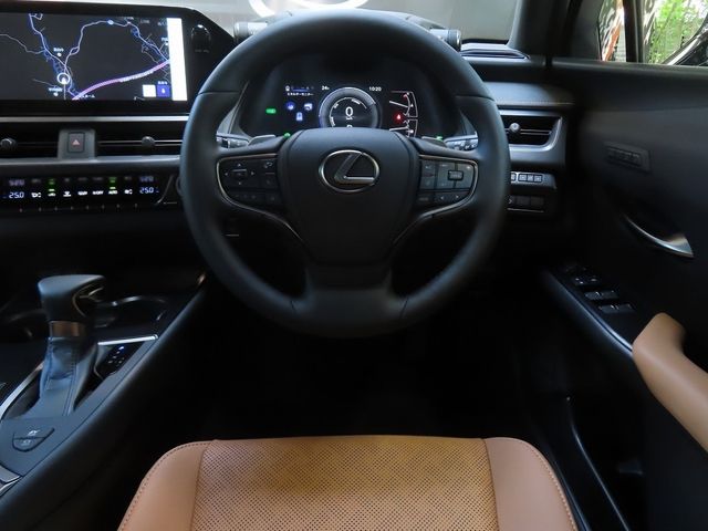 15661354