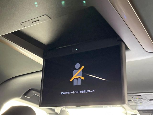 15662463