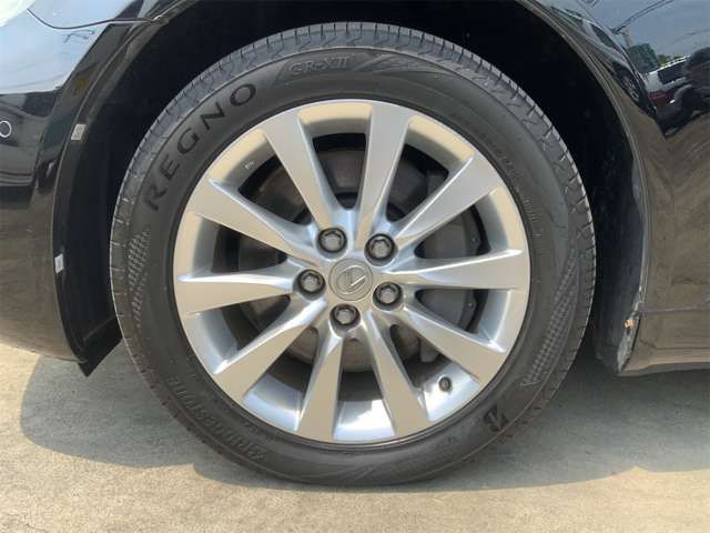 15662484