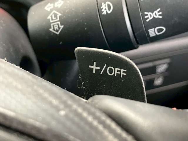 15662987