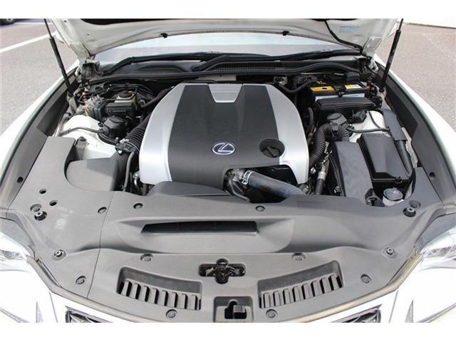15666284
