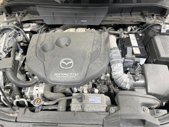15766724