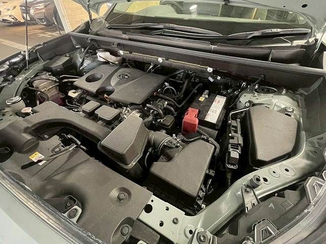 15860029