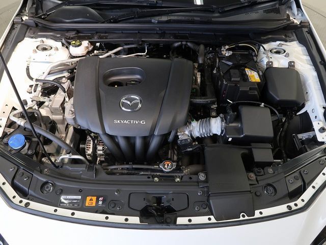 15860626