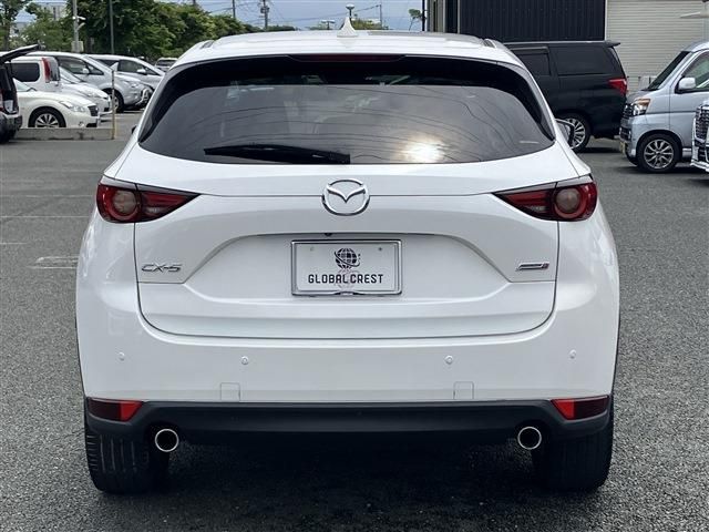 15866010