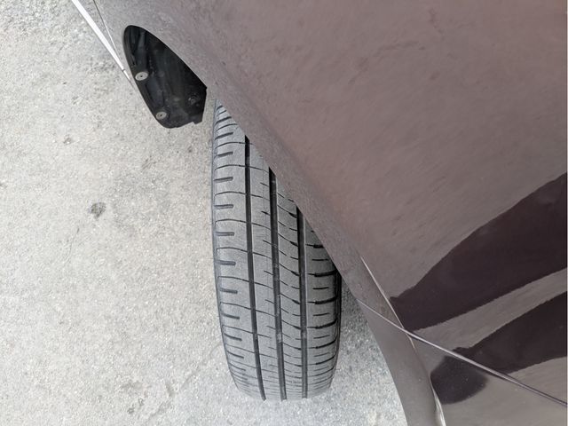 15900029