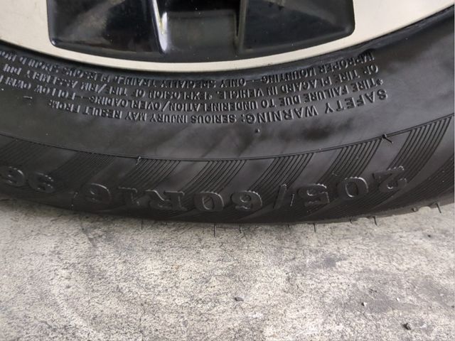 15900049