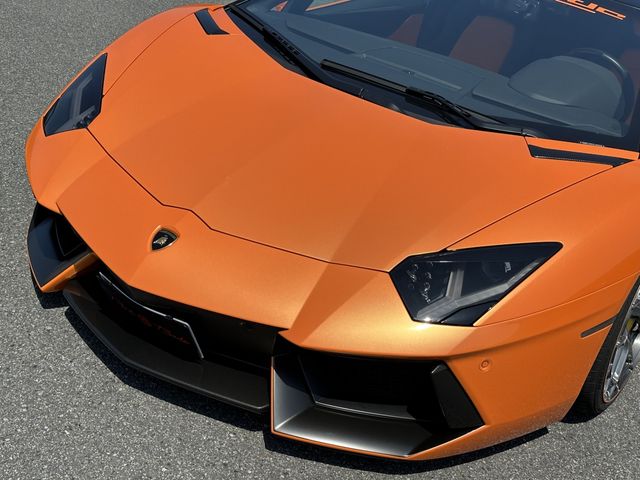 15950095