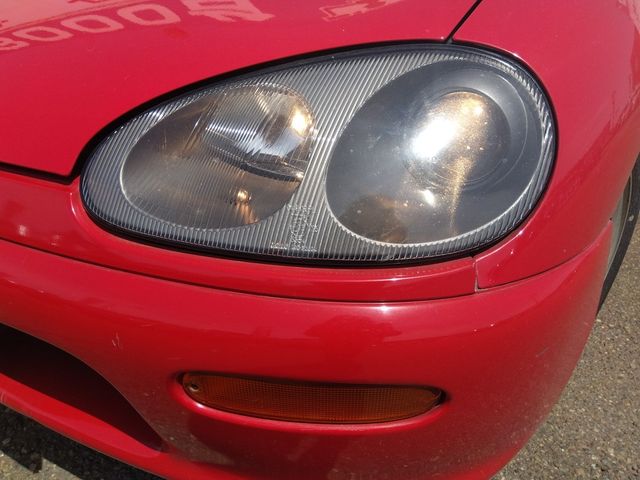 15950262