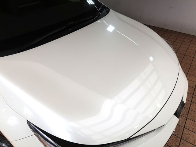 15950348