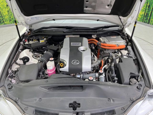 15962524
