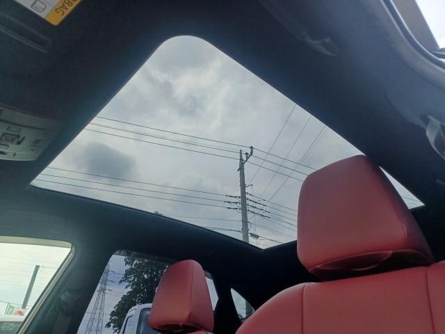 16061656