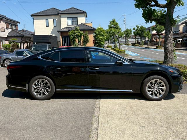 16065644