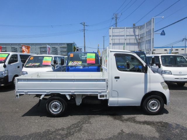 16065655