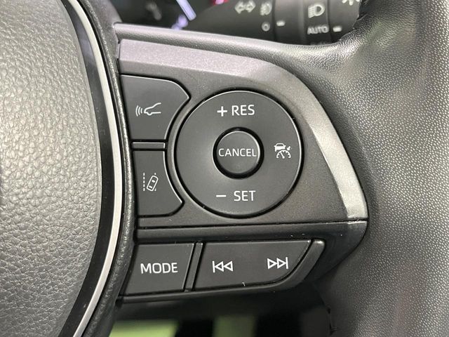 16160481