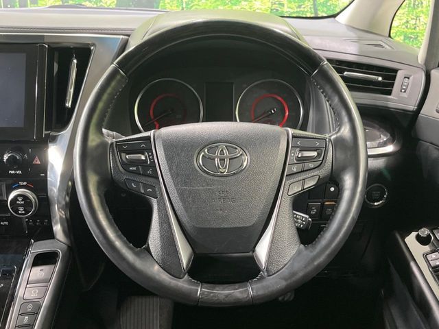 16162685
