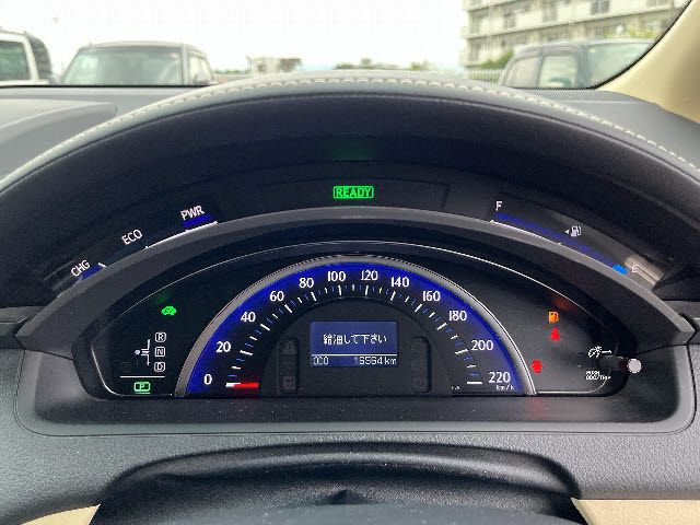 16165229