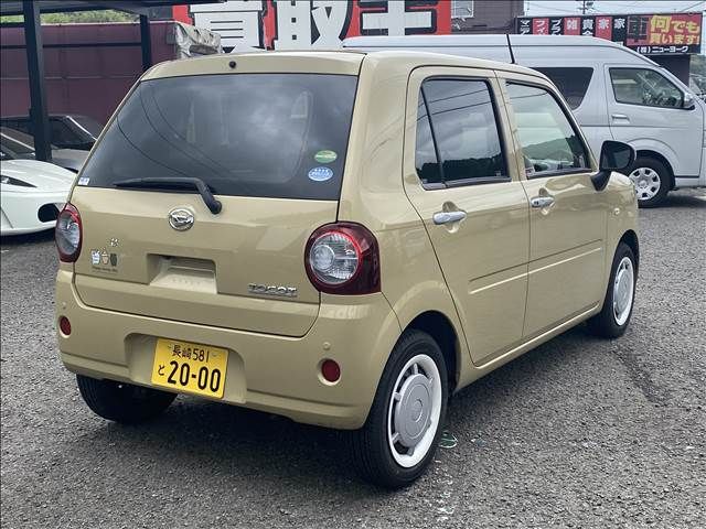 16165644