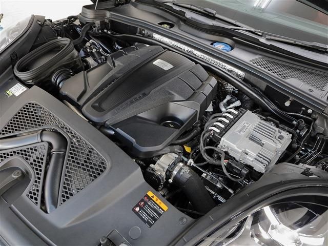 16165731