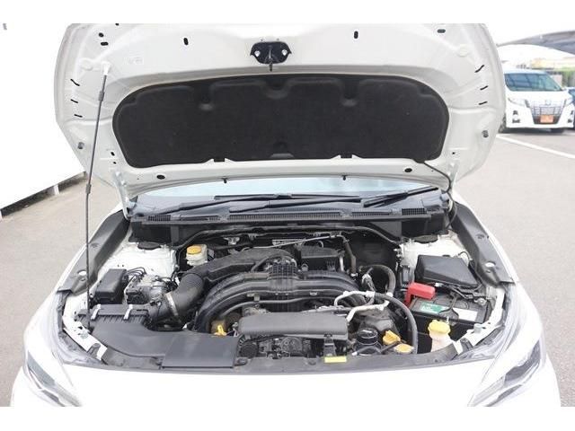16166204