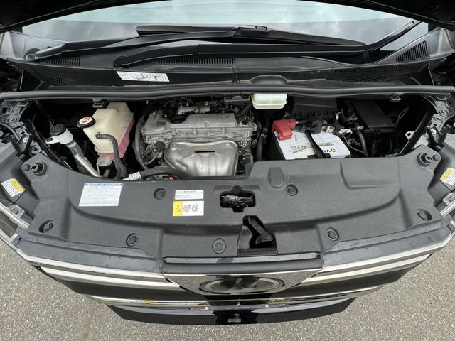 16220116