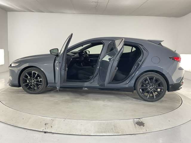 16260061