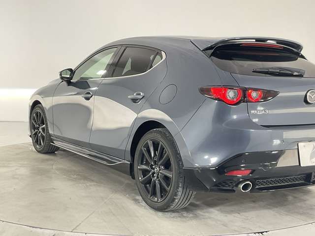 16260061