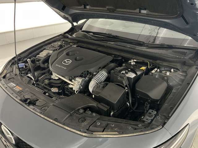16260061