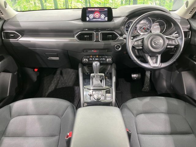 16261644