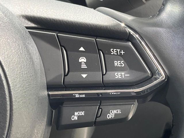16261644