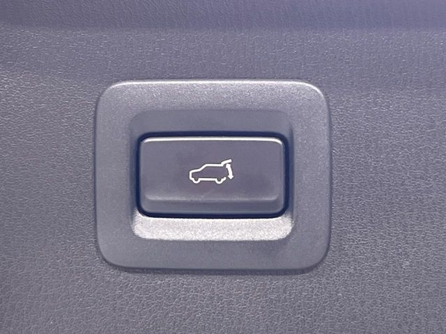 16261644