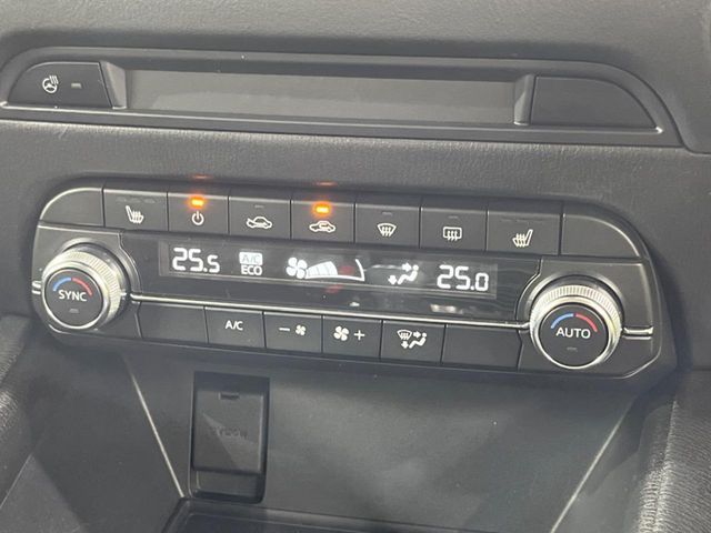 16261644