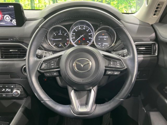 16261644