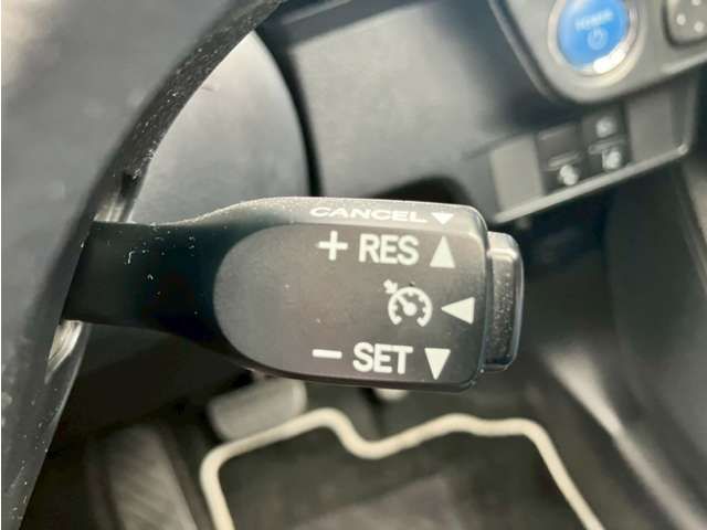 16261756