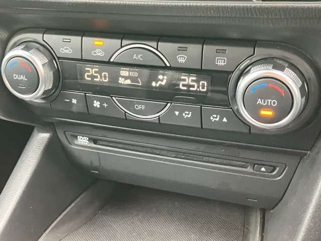 16261789