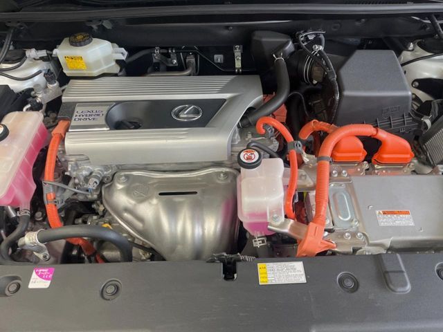16262045