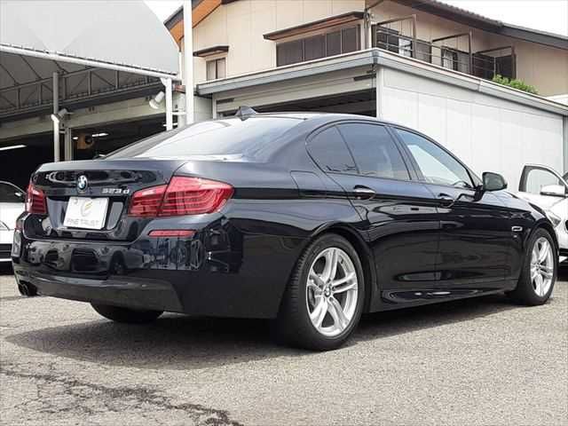 16265013